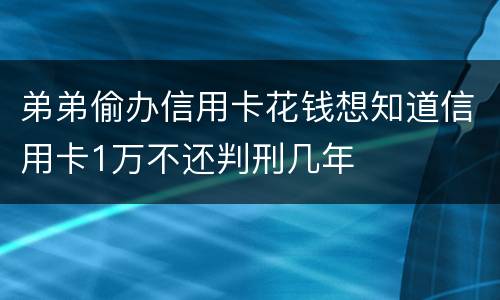 弟弟偷办信用卡花钱想知道信用卡1万不还判刑几年