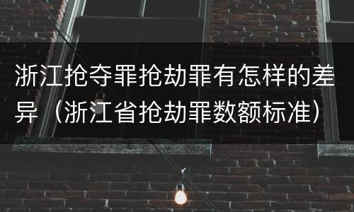 浙江抢夺罪抢劫罪有怎样的差异（浙江省抢劫罪数额标准）