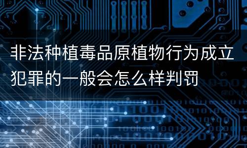 非法种植毒品原植物行为成立犯罪的一般会怎么样判罚