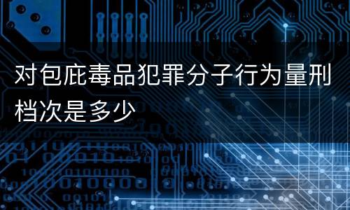 对包庇毒品犯罪分子行为量刑档次是多少