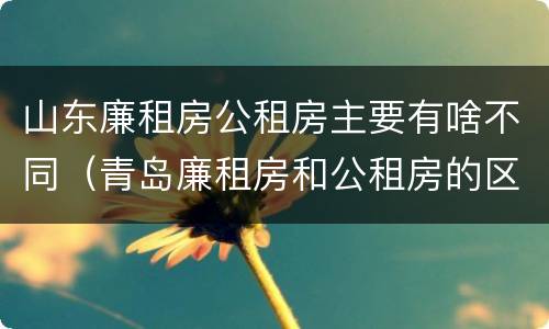 山东廉租房公租房主要有啥不同（青岛廉租房和公租房的区别）