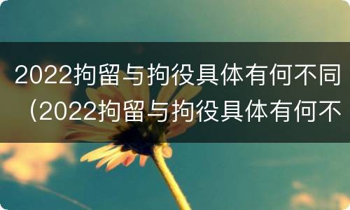 2022拘留与拘役具体有何不同（2022拘留与拘役具体有何不同呢）
