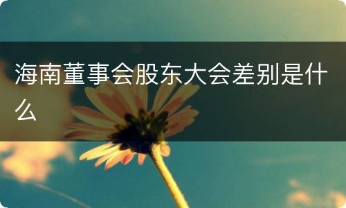 海南董事会股东大会差别是什么