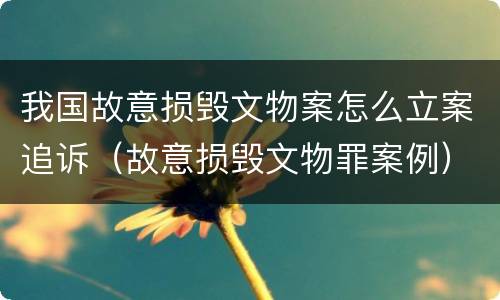 我国故意损毁文物案怎么立案追诉（故意损毁文物罪案例）