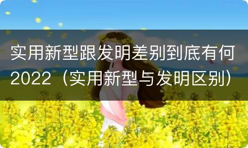 实用新型跟发明差别到底有何2022（实用新型与发明区别）