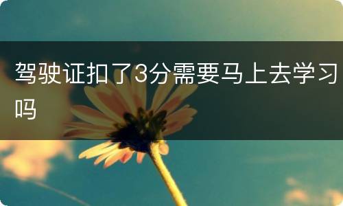驾驶证扣了3分需要马上去学习吗