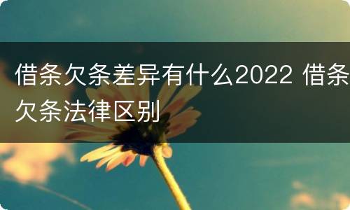 借条欠条差异有什么2022 借条欠条法律区别