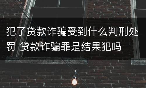 犯了贷款诈骗受到什么判刑处罚 贷款诈骗罪是结果犯吗