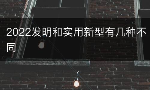 2022发明和实用新型有几种不同
