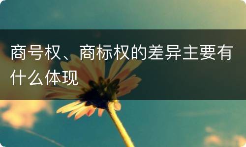 商号权、商标权的差异主要有什么体现