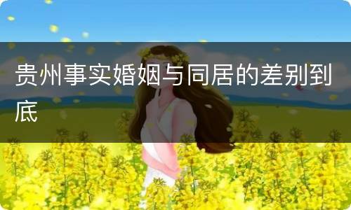 贵州事实婚姻与同居的差别到底