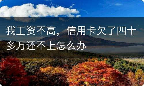 我工资不高，信用卡欠了四十多万还不上怎么办