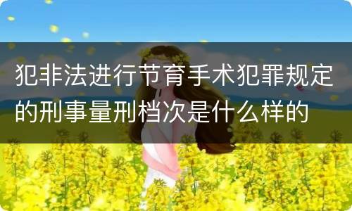 犯非法进行节育手术犯罪规定的刑事量刑档次是什么样的