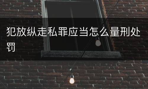 犯放纵走私罪应当怎么量刑处罚