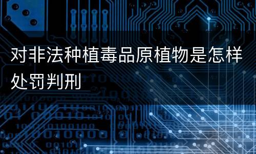 对非法种植毒品原植物是怎样处罚判刑