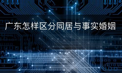 广东怎样区分同居与事实婚姻