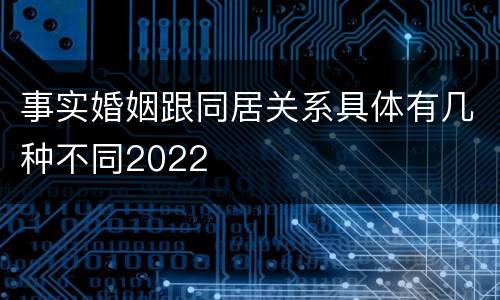 事实婚姻跟同居关系具体有几种不同2022