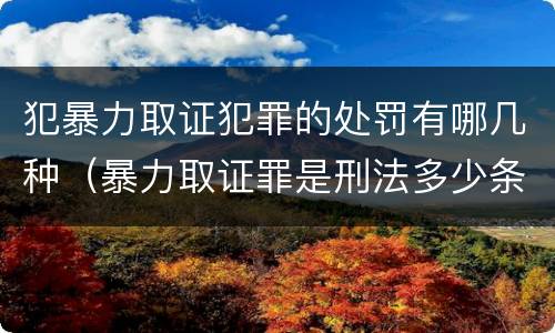 犯暴力取证犯罪的处罚有哪几种（暴力取证罪是刑法多少条）