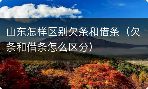 山东怎样区别欠条和借条（欠条和借条怎么区分）