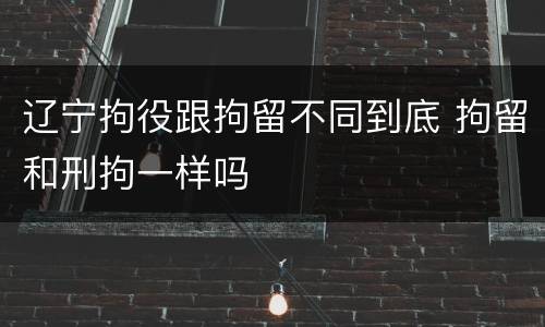 辽宁拘役跟拘留不同到底 拘留和刑拘一样吗