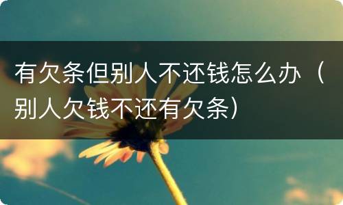 有欠条但别人不还钱怎么办（别人欠钱不还有欠条）