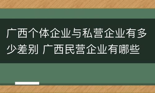 广西个体企业与私营企业有多少差别 广西民营企业有哪些