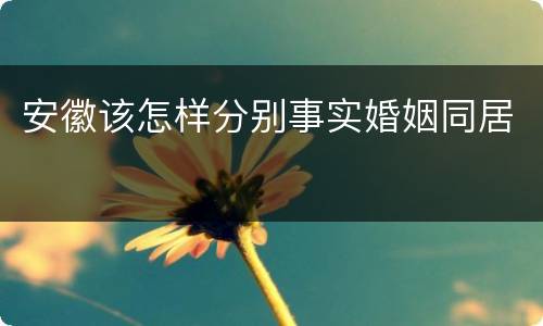 安徽该怎样分别事实婚姻同居