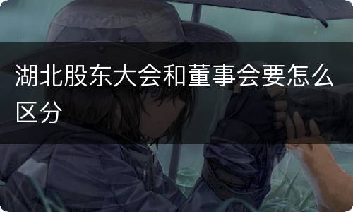 湖北股东大会和董事会要怎么区分