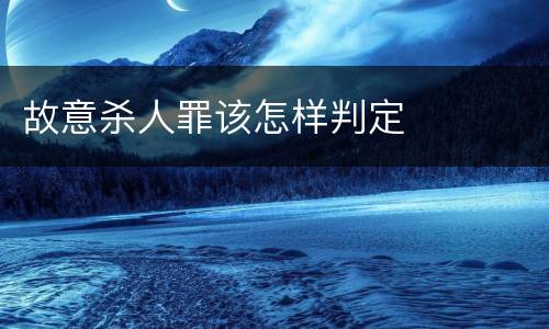 故意杀人罪该怎样判定