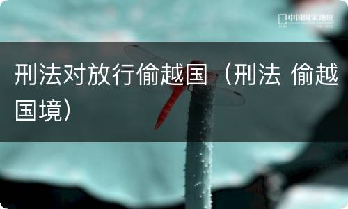 刑法对放行偷越国（刑法 偷越国境）