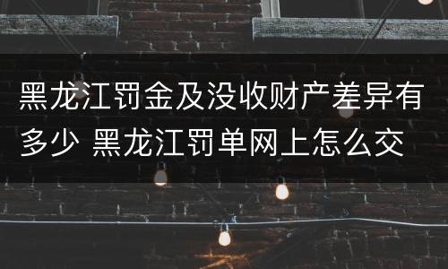 黑龙江罚金及没收财产差异有多少 黑龙江罚单网上怎么交