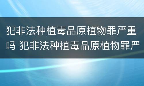 犯非法种植毒品原植物罪严重吗 犯非法种植毒品原植物罪严重吗