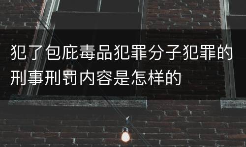 犯了包庇毒品犯罪分子犯罪的刑事刑罚内容是怎样的