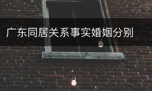 广东同居关系事实婚姻分别