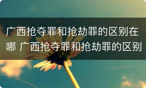 广西抢夺罪和抢劫罪的区别在哪 广西抢夺罪和抢劫罪的区别在哪查