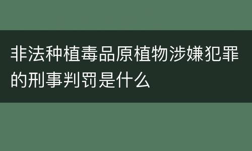 非法种植毒品原植物涉嫌犯罪的刑事判罚是什么