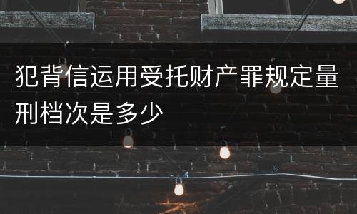 犯背信运用受托财产罪规定量刑档次是多少