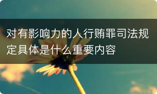 对有影响力的人行贿罪司法规定具体是什么重要内容