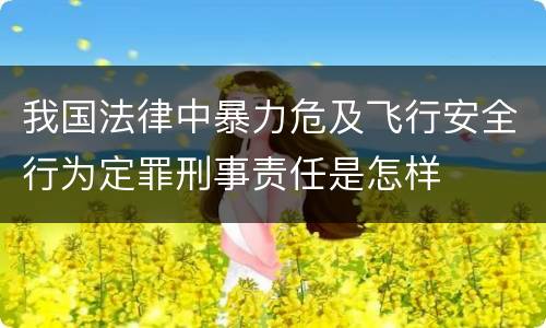 我国法律中暴力危及飞行安全行为定罪刑事责任是怎样