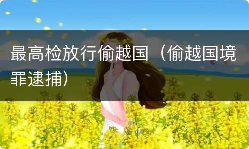 最高检放行偷越国（偷越国境罪逮捕）