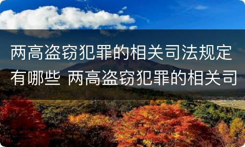 两高盗窃犯罪的相关司法规定有哪些 两高盗窃犯罪的相关司法规定有哪些法律