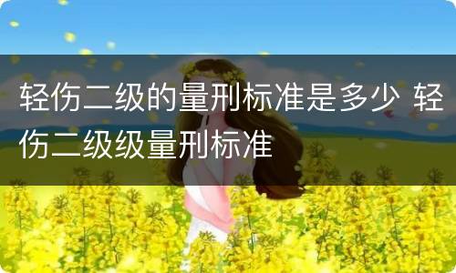 轻伤二级的量刑标准是多少 轻伤二级级量刑标准
