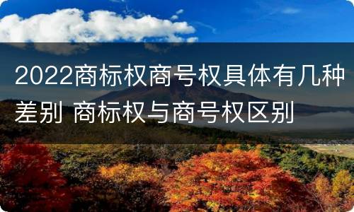 2022商标权商号权具体有几种差别 商标权与商号权区别