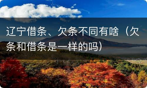 辽宁借条、欠条不同有啥（欠条和借条是一样的吗）