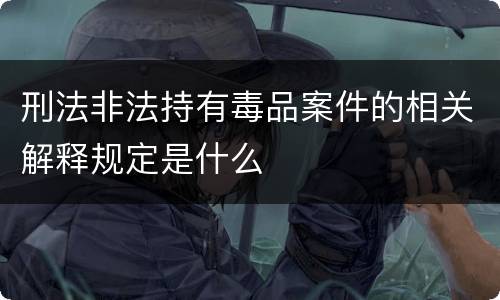 刑法非法持有毒品案件的相关解释规定是什么