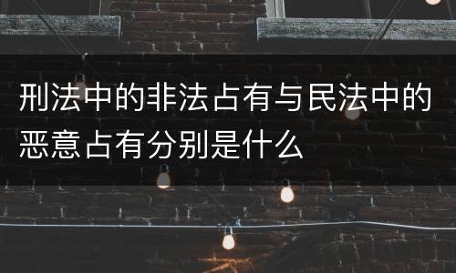 刑法中的非法占有与民法中的恶意占有分别是什么