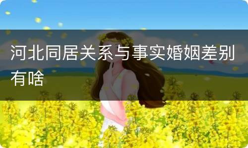 河北同居关系与事实婚姻差别有啥