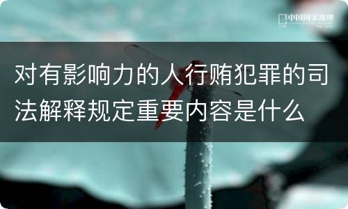 对有影响力的人行贿犯罪的司法解释规定重要内容是什么