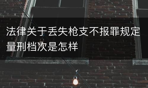 法律关于丢失枪支不报罪规定量刑档次是怎样