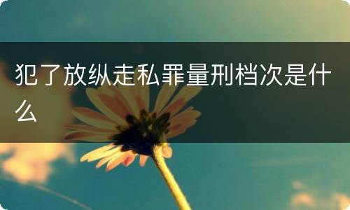 犯了放纵走私罪量刑档次是什么